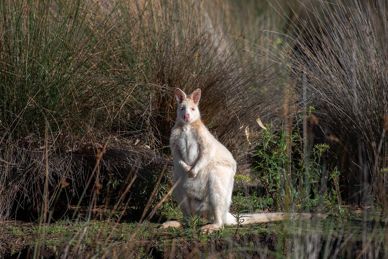 The Latest Findings on the Interplay Between Genetics and Environment